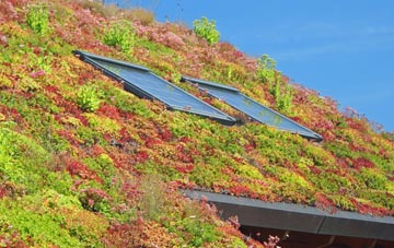 West Brompton living roof systems