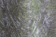 West Brompton fibreglass roof work